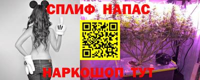 мяу мяу мука Кунгур