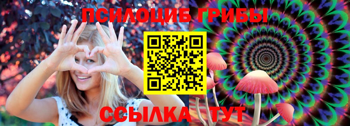 Псилоцибиновые грибы GOLDEN TEACHER Ивантеевка