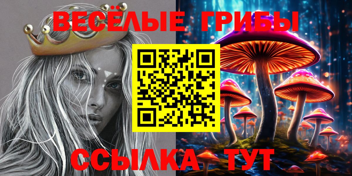 Ивантеевка  Галлюциногенные грибы мухоморы  купить наркоту  Вход с VPN 